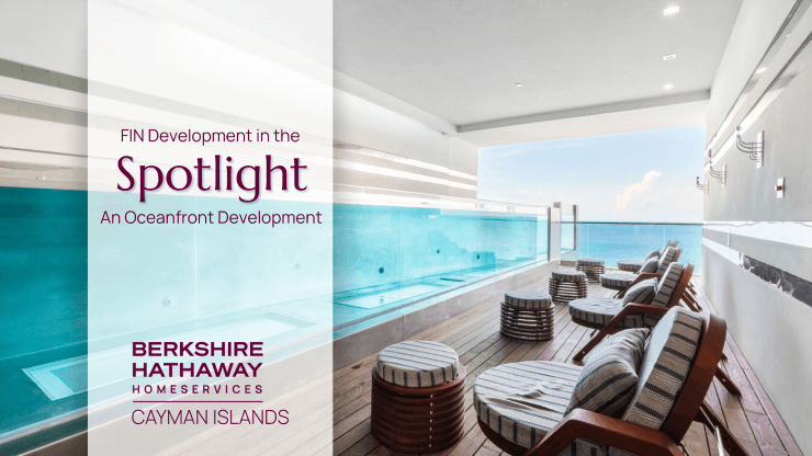 Development Spotlight: FIN