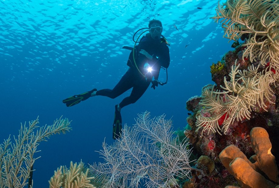 Jacqueline's Favourites