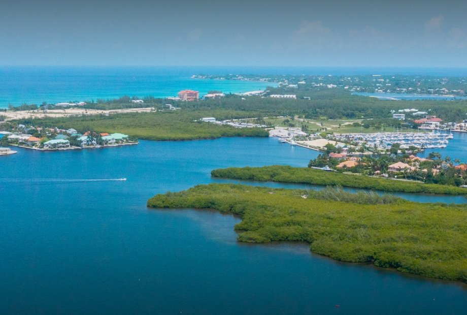 Anthony's Favourites